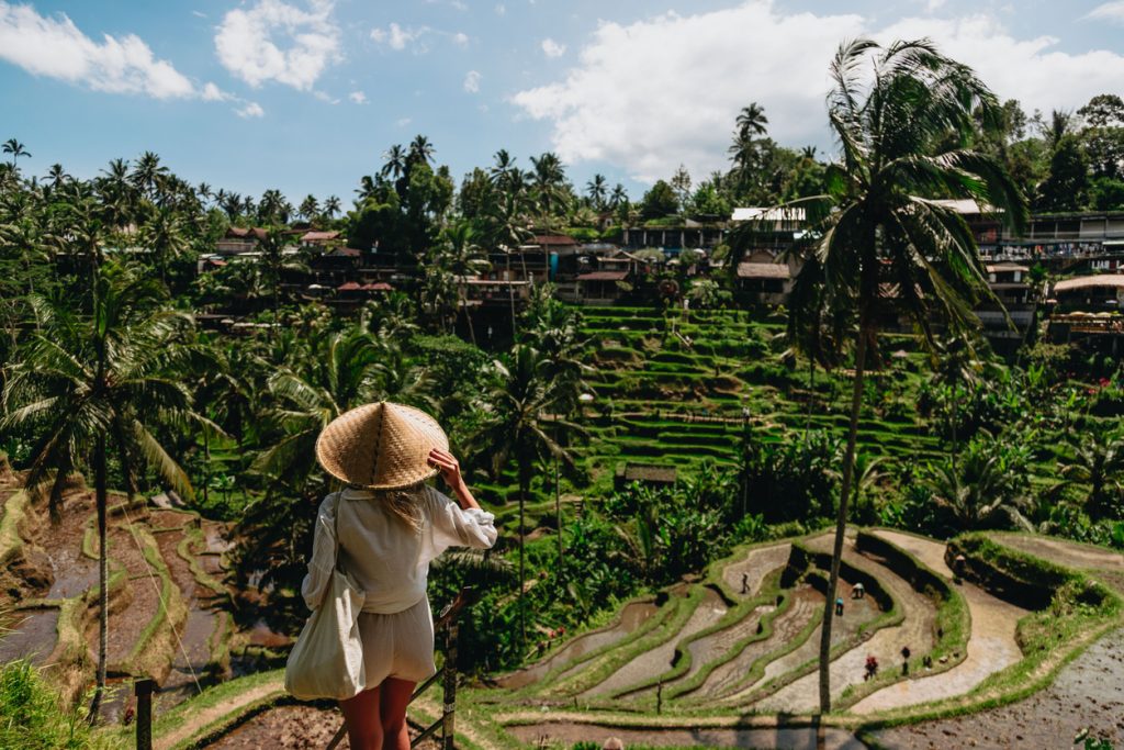 Workation à Bali - découverte des rizières