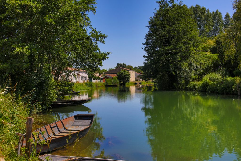 A la découverte du Chabichou AOP par le Marais-Poitevin